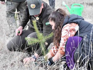 Ardahan'da 'Deprem Şehitleri Hatıra Ormanı' oluşturuldu