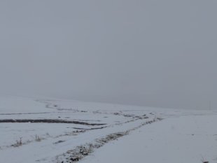 Mart ayında yağan kar çiftçiyi sevindirdi