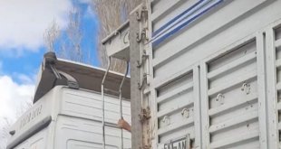 Hayatlarını hiçe saydılar, kamyonun kasa boşluğunda yolculuk yapan iki kişi görenleri şaşırttı