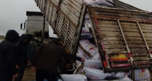 Erzincan'dan Malatya'ya 21 ton süt yemi