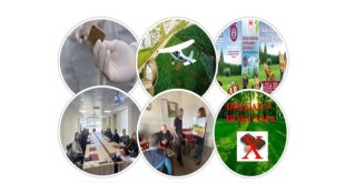 Tunceli'de kuduz ile mücadele çalışmaları