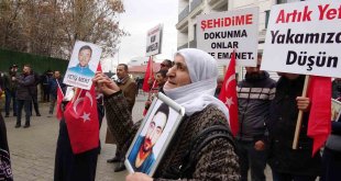 Vanlı annelerin evlat nöbeti ikinci yılını tamamladı