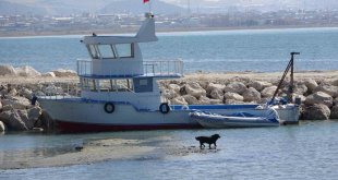 Van Gölü seviye kaybediyor: Sahildeki kum adalarının sayısı arttı