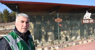 Enkazlardan kurtarılan kedi ve köpekler sahiplerini bekliyor