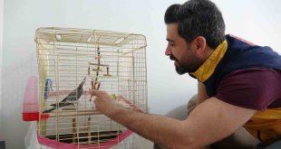 Depremin 10'uncu gününde enkazdan canlı çıkan papağanı sağlık personeli sahiplendi