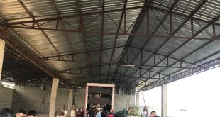 Depremzedelere küçükbaş hayvan desteği