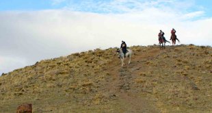 Atatürk Üniversitesinden 1001 Hatim belgeseli