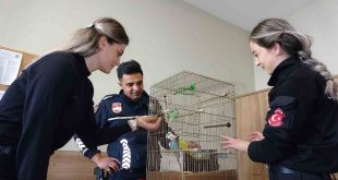 Enkazdan çıkarılan muhabbet kuşları Van polisine emanet