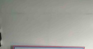 Ağrı'da durdurulan tırda bin 245 altın sikke ele geçirildi