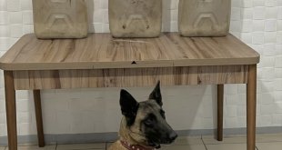 İran'dan gelen karpuz yüklü tırda 62 kilo 420 gram uyuşturucu bulundu