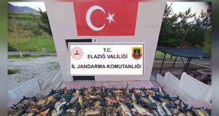 Elazığ'da kaçak balık avına 16 bin lira ceza