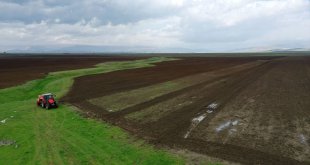 Muş'ta bu yıl şeker pancarı üretiminde "rekor" hedefleniyor