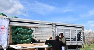 Ardahanlı çiftçilere kavılca buğdayı tohumu ve tohumluk patates dağıtıldı