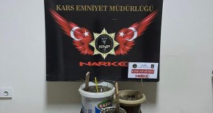 Kars'ta uyuşturucu tacirlerine şafak şoku