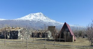 Türkiye'nin çatısı olarak nitelendirilen Ağrı Dağı eteklerinde meyve bahçesi ile turistleri bekliyor