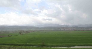 Bingöl'de sağanak yağış sonrası tarım arazileri incelendi