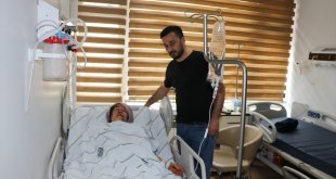 Erzurum'da 4 kişiyi yaralayan kurdun kuduz olduğu belirlendi