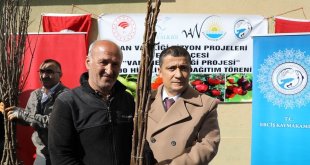 Erciş'te yetiştiricilere 25 bin meyve fidanı dağıtıldı