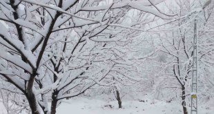 Tunceli'de 8 Nisan'da 20 santimlik kar sürprizi