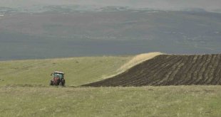 Kars'ta tarlalar sürülüyor