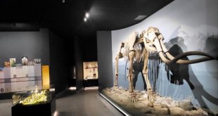 Bir ödül de Erzurum Arkeoloji müzesine