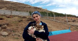 Kars'ta üniversite öğrencileri mama dağıtıp hayvanları besledi
