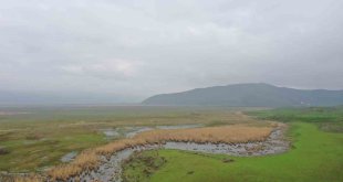 Güroymak'ta kaçak avcılığa drone ile denetim