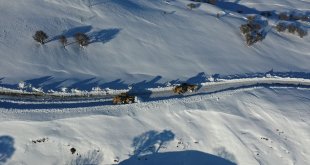 Erzurum ve Ağrı'da 113 köy yolu kar ve tipiden kapandı