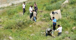 Hakkari'de sağlık çalışanları farkındalık için fidan dikti
