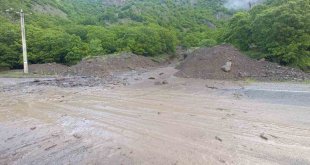 Tunceli'de sağanak yağış hayatı olumsuz etkiledi