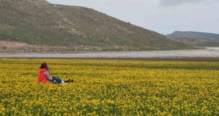 Turna Gölü doğaseverleri mest etti
