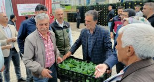 Bingöl'de çiftçilere yüzde 75 hibe ile 630 bin sebze fidesi dağıtıldı