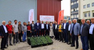 Bingöl'de yüzde 75 hibe ile 630 bin sebze fidesi dağıtıldı