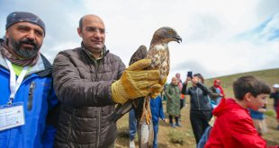 Van'da tedavileri tamamlanan kartal ve şahin doğaya salındı