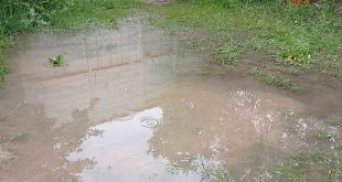 Erciş'te yağmur etkili oldu