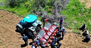 Yedisu horoz kuru fasulyesi üretimi 10 kat arttı