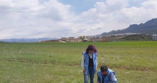 Tunceli'de jeolojik ve jeofizik çalışmaları