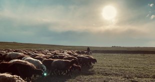Ağrı'da gün batımı göz kamaştırdı