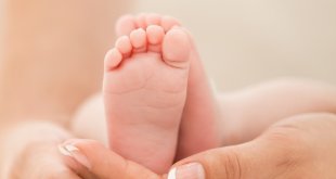 Erzincan'da doğurganlık hızı 1,39 oldu