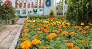 Van'da park ve bahçelerde yeşillendirme çalışmaları sürüyor