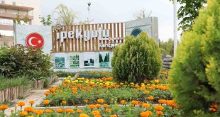 İpekyolu'nda 100 binlerce çiçek toprakla buluşuyor