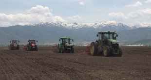 500 bin ton şeker pancarından 2 milyar TL gelir bekleniyor