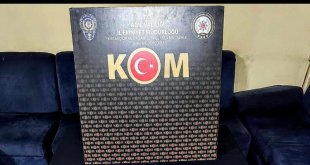 Ağrı'da tarihi eser niteliğinde 562 sikke ele geçirildi