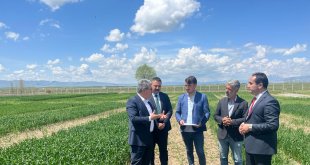 Ağrı İl Tarım ve Orman Müdürü Kenan Engin, Tarım Park alanını ziyaret etti