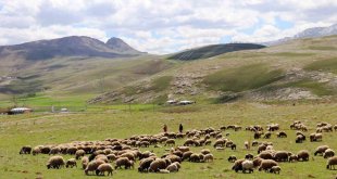 'Köyümde Yaşamak İçin Bir Sürü Nedenim Var' projesi çitçilerin yüzünü güldürdü