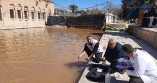 Elazığ Su Ürünleri Araştırma Enstitüsü, Balıklıgöl'de inceleme yaptı