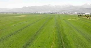 Muş, 1,8 milyon dolar ile ihracatını en çok artıran ikinci il oldu