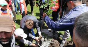 Hanak'ta 600 fidan toprakla buluşturuldu