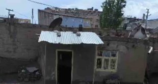 Ağrı'da 3 ev selden zarar gördü