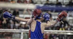 Gençler B Türkiye Boks Şampiyonası, Erzurum'da başladı